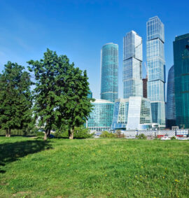 corso-gestione-del-verde-urbano-online-teknoinfoma