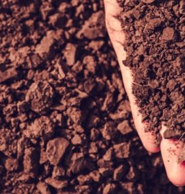 Corso Agricoltura e Gestione della Risorsa Suolo