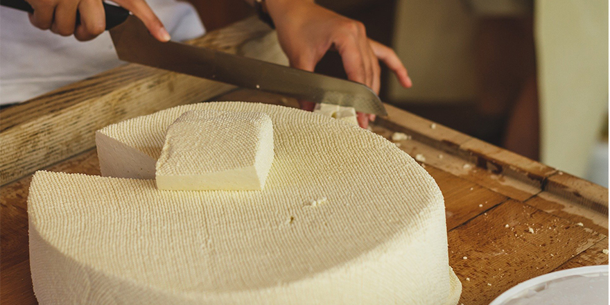 Regione Trentino Aldo Adige | Corso HACCP | Addetto Manipolazione Alimenti - TeknoinForma Corso HACCP Sicurezza Alimentare Regione Trentino TeknoinForma