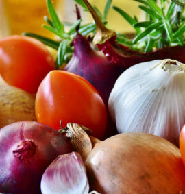 Regione Molise | Corso HACCP | Addetto Manipolazione Alimenti