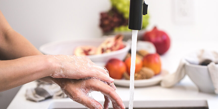 Regione Sardegna | Corso HACCP | Addetto Manipolazione Alimenti - TeknoinForma Regione Sardegna | Corso HACCP | Addetto Manipolazione Alimenti