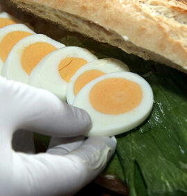 Regione Veneto | Corso HACCP | Addetto Manipolazione Alimenti