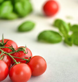 Regione Campania | Corso HACCP | Personale Alimentarista | Aggiornamento